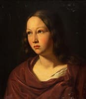 Portrait of a Young Woman