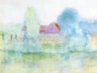 Mist