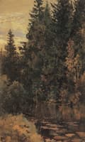 The Pond