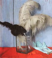 Feathers