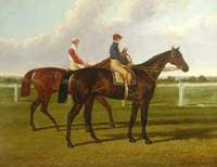 Charles XII and Euclid