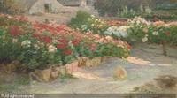 Rose Garden