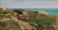 Cliff Tops