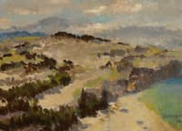 Hilly Landscape