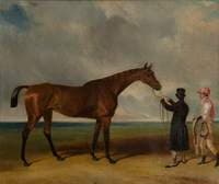 Fleur de Lys Held by a Trainer on a Racecourse
