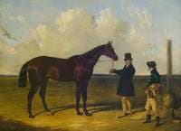 Mango, Winner of the St Leger, 1837