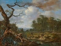 Landscape at the Edge of Woods