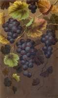 Still Life of Fruit