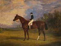 Mundig, Winner of the Derby, 1835
