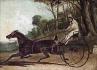 Rattler, a Trotting Horse, Harnessed to a Buggy