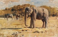 Elephants of Bekanir