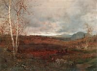 Grey Day in Hill Country