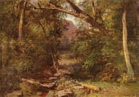 Mink Hollow