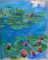 Water Lilies
