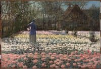 Tulip Culture
