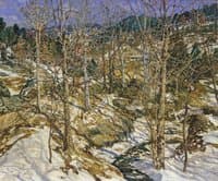 The Birches