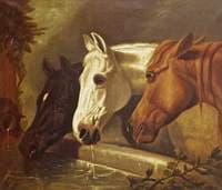 Three Horses at a Drinking Trough