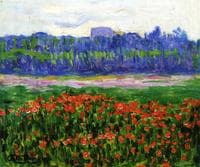 Fields of Poppies