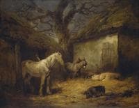 Farmyard