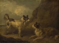 Two Terriers