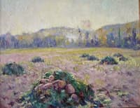 The Beet Field