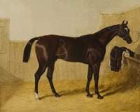 Touchstone