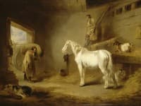 Inside of a Stable