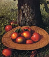 Apples, Hat and Tree