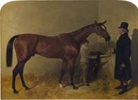 A Bay Racehorse in a Loosebox