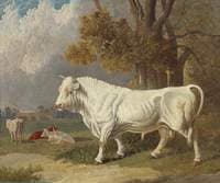 A White Bull, Fulbourn, Cambridgeshire
