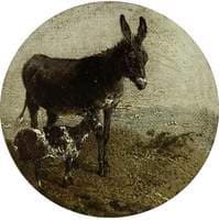 Donkey and Goat