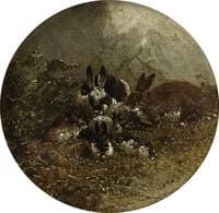 Rabbits