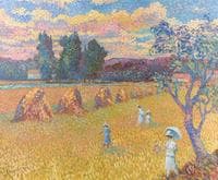 Wheat Field in Summer