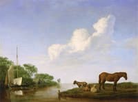 View of an Estuary