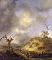 View near Haarlem