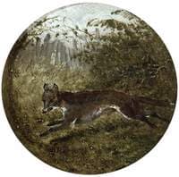 Fox Fleeing