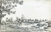 A Path by Sand Hills and Trees