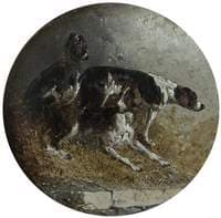 Three Hounds Resting