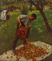 Cyder Apples