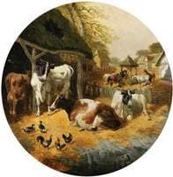 Farmyard
