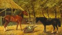 Farmyard Scene