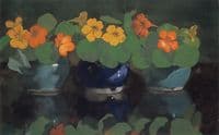 Nasturtiums