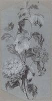Flower Study