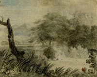 Wooded landscape