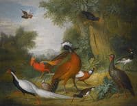 A Great Curassow, Silver Pheasant, Golden Pheasant and other birds in a landscape
