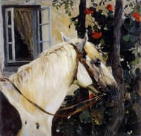 Head of a Horse