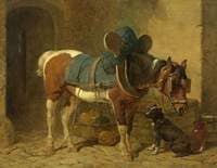 Stable Companions