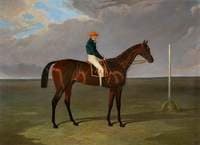 Sluggard with Flatman up