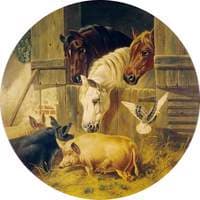 Stable Door