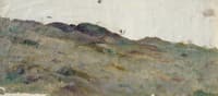 Steppe